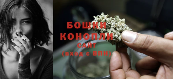 дмт Вяземский