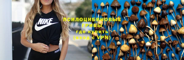 apvp Волосово